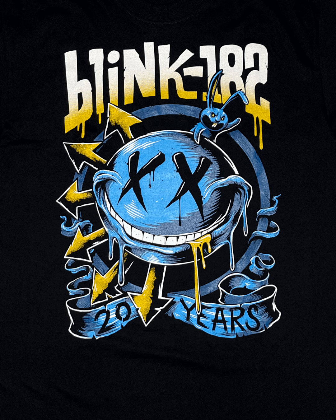 Blink-182 Double Sided Printed Black Tee | Fits Upto XL