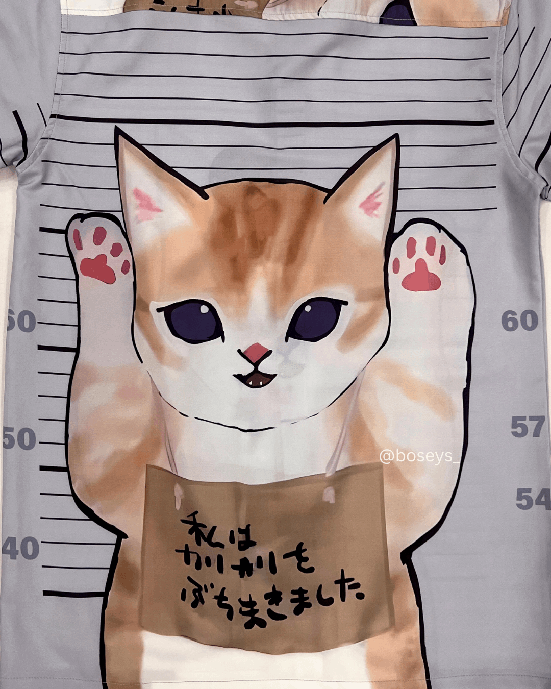 Pawsitively Guilty Cat | Fits Upto S